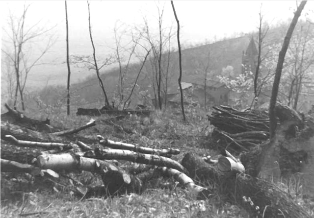 10 Pasqua1968