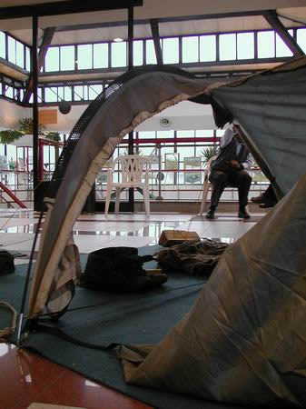WA16 337x450